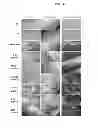 Fig. 16 - Methods of processing fetal support tissues, fetal support tissue powder products, and uses thereof