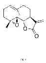 Fig. 02 - Migraine Treatment