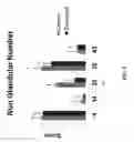 Fig. 06 - Gastric health supplement and methods thereof