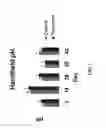 Fig. 08 - Gastric health supplement and methods thereof