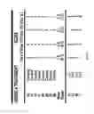 Fig. 09 - Gastric health supplement and methods thereof