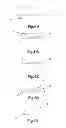 Fig. 04 - Method for manufacturing a molding element by fritting with a completely planar unfritted portion, and corresponding molding element