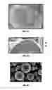 Fig. 04 - EDIBLE COMPOSITIONS