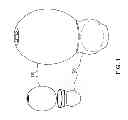 Fig. 02 - EGG YOLK SEPARATION APPARATUS AND METHODS