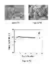 Fig. 08 - PROCESS FOR MAKING AN ALKALI METAL OXYANION COMPRISING IRON