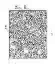 Fig. 04 - POINT BRIDGED FIBER BUNDLE