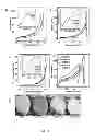 Fig. 16 - Porous polyurethane networks and methods of preparation