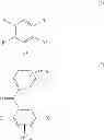 Fig. 05 - Method for preparing a high temperature polymer coating
