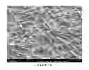 Fig. 09 - Slippery surfaces with high pressure stability, optical transparency, and self-healing characteristics