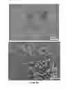 Fig. 43 - Slippery surfaces with high pressure stability, optical transparency, and self-healing characteristics