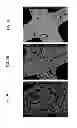 Fig. 02 - Fused silica based cellular structures