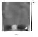 Fig. 04 - Nanofiber-based heterojunction approach for high photoconductivity on organic materials