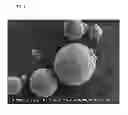 Fig. 02 - ELECTRICALLY CONDUCTIVE PARTICLES AND PROCESS FOR PRODUCTION THEREOF