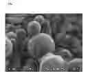 Fig. 04 - ELECTRICALLY CONDUCTIVE PARTICLES AND PROCESS FOR PRODUCTION THEREOF