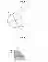 Fig. 04 - HONEYCOMB STRUCTURE, METHOD FOR  MANUFACTURING THE SAME EXHAUST GAS PURIFYING APPARATUS AND SILICOALUMINOPHOSPHATE PARTICLES