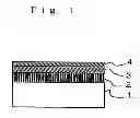Fig. 02 - Lubricant and magnetic disk