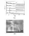 Fig. 02 - Electrode composite material, preparation method thereof, cathode and battery including the same