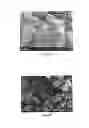 Fig. 03 - Electrode composite material, preparation method thereof, cathode and battery including the same