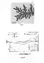 Fig. 10 - Electrode composite material, preparation method thereof, cathode and battery including the same