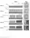 Fig. 04 - Three-dimensional (3D) porous electrode architecture for a microbattery