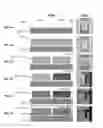 Fig. 06 - Three-dimensional (3D) porous electrode architecture for a microbattery