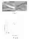 Fig. 02 - Silicon-carbon composite anode material for lithium ion batteries and a preparation method thereof