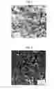 Fig. 02 - Metal air battery