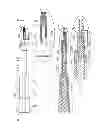 Fig. 11 - DENTAL IMPLANTS, TOOLS, AND METHODS