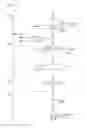 Fig. 07 - CONCATAMERIC LIGATION PRODUCTS: COMPOSITIONS METHODS AND KITS FOR SAME