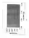 Fig. 02 - QUANTITATION OF HUMAN GENOMIC AND MITOCHONDRIAL DNA