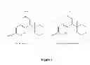 Fig. 02 - Venlafaxine assay