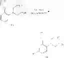 Fig. 16 - Multi-layer device for selectively determining magnesium ion