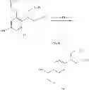 Fig. 17 - Multi-layer device for selectively determining magnesium ion
