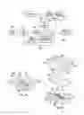 Fig. 02 - ORGAN MIMIC DEVICE WITH MICROCHANNELS AND METHODS OF USE AND MANUFACTURING THEREOF