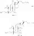 Fig. 10 - NOVEL 12 ALPHA-HYDROXYSTEROID DEHYDROGENASES, PRODUCTION AND USE THEREOF