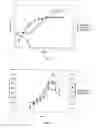 Fig. 09 - Method for Producing a Polypeptide in Yarrowia Lipolytica