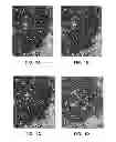 Fig. 02 - Antibody conjugates
