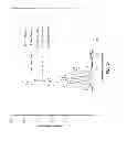 Fig. 22 - Antibody conjugates