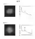 Fig. 42 - Method for producing organic light-emitting element