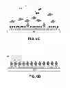 Fig. 08 - Method of forming layers using atomic layer deposition