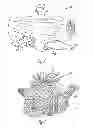Fig. 04 - GAME OF RETRIEVING SELECTED OBJECTS FROM UNDERWATER ENVIRONMENT