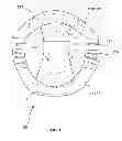 Fig. 02 - MATERNITY GARMENT