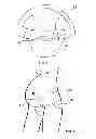 Fig. 03 - MATERNITY GARMENT