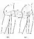 Fig. 07 - MATERNITY GARMENT