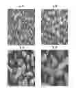 Fig. 09 - Abrasive particles having a unique morphology