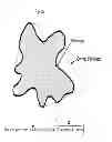 Fig. 22 - Abrasive particles having a unique morphology