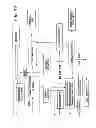 Fig. 03 - System for reducing microbial levels on the hide of an animal