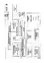 Fig. 05 - System for reducing microbial levels on the hide of an animal