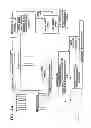 Fig. 09 - System for reducing microbial levels on the hide of an animal