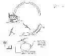 Fig. 01 - Wireless earpiece and wireless microphone to service multiple audio streams